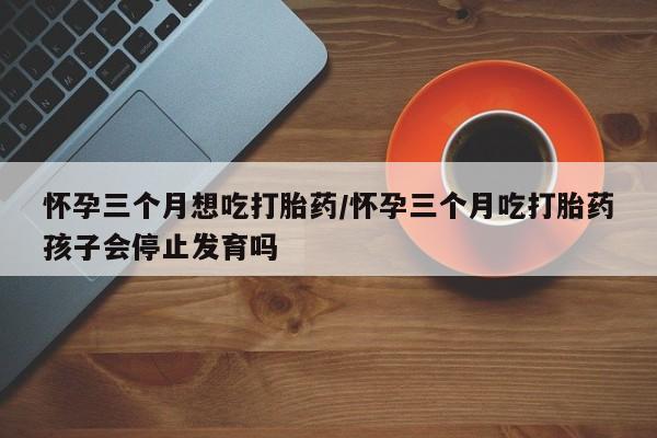 流产药网上购买怀孕三个月想吃打胎药/怀孕三个月吃打胎药孩子会停止发育吗