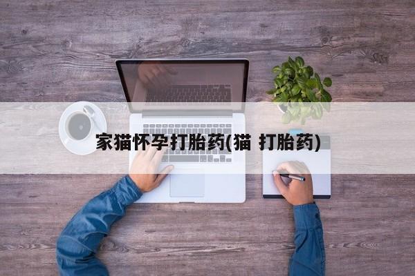 流产药网上购买家猫怀孕打胎药(猫 打胎药)