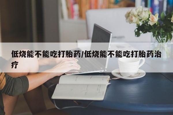 低烧能不能吃打胎药